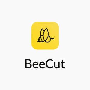 BeeCut Easy Video Editing Software: Lifetime Subscription