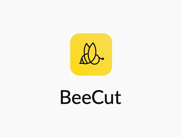 BeeCut Easy Video Editing Software: Lifetime Subscription