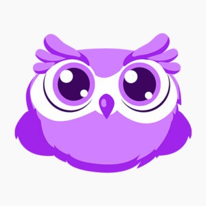 Wiser5 Bite-Sized Learning Premium Plan: Lifetime Subscription