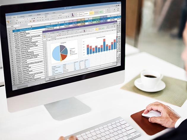 Microsoft Office 2024 Home & Business + The Premium Microsoft Office Training Certification Bundle