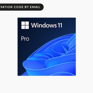 Microsoft Windows 11 Pro